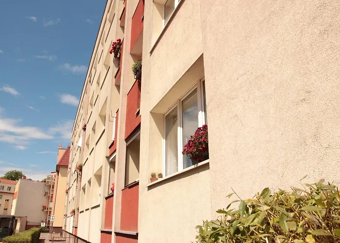 Visit Baltic - Paderewskiego * Świnoujście